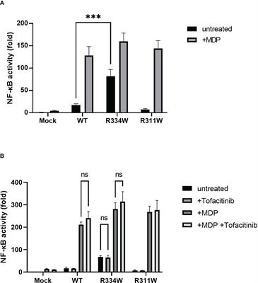 Tofacitinib, a suppressor of NOD2 expression, is a potential treatment for Blau syndrome